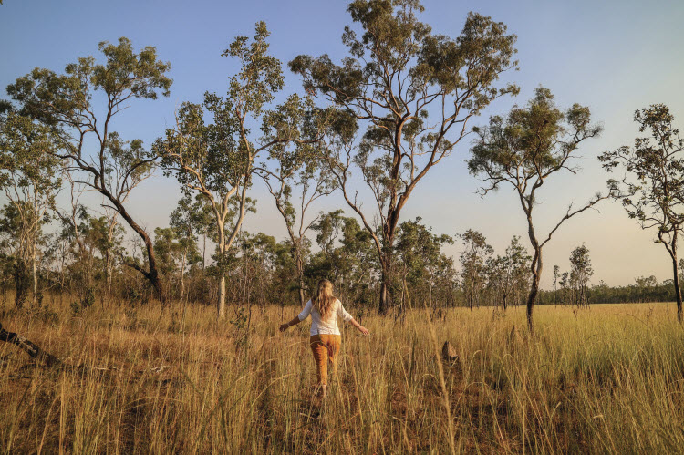 Atherton Tablelands