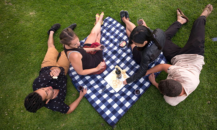 Picnic Time at Thredbo YHA