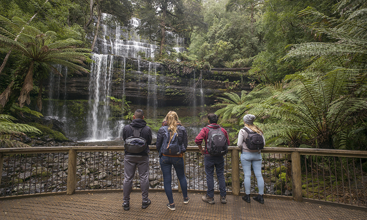 Russell Falls, Mount Field National Park