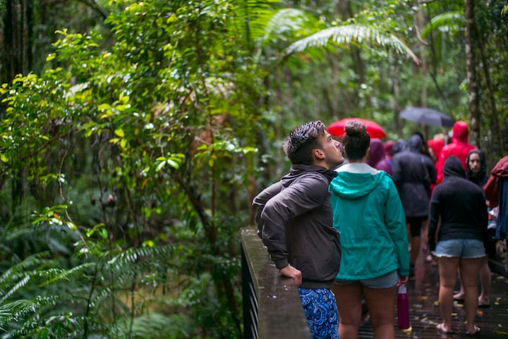 Hervey Bay YHA_Fraser Island_Rainforest Walk_2017 (2) copy.jpg