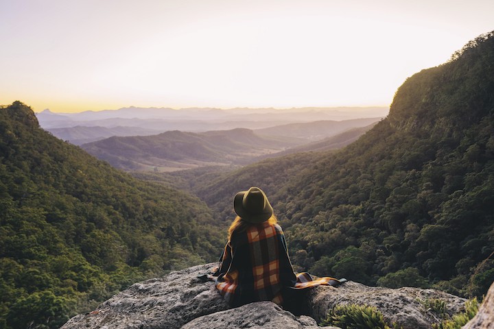 Lamington National Park copy.jpg