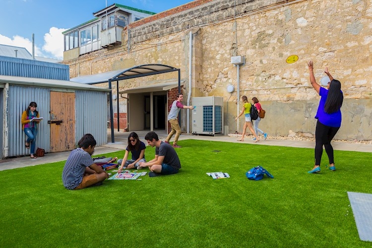 Fremantle Prison YHA - Lawn