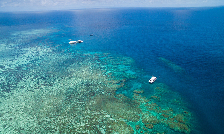 The Great Barrier Reef