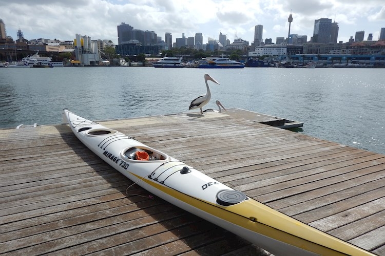 Kayak Sydney Harbour YHA Travel