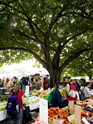 PT_enjoy one of Brisbane's many markets_Brisbane Marketing.jpg