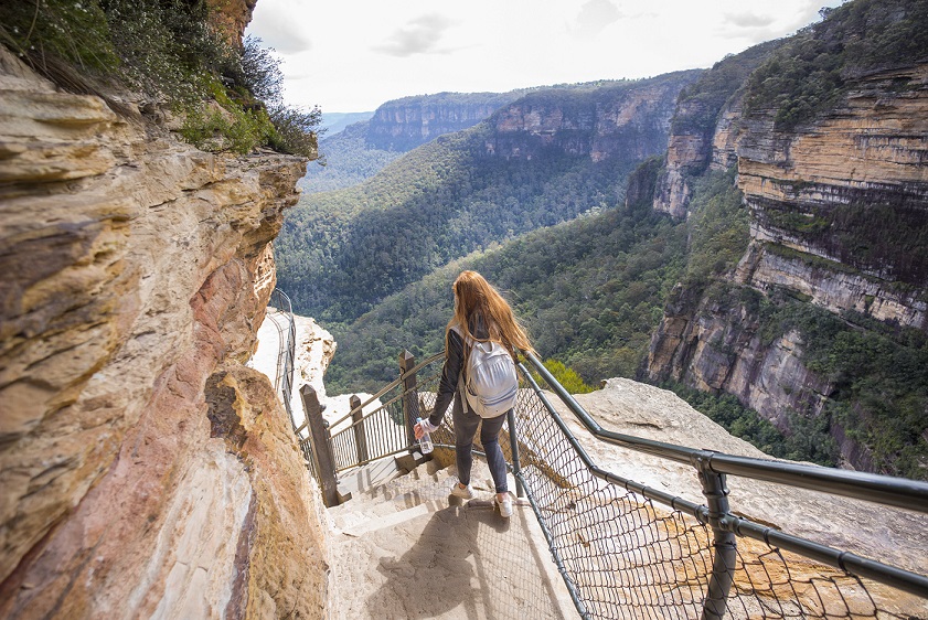 Chase adventure in the Blue Mountains