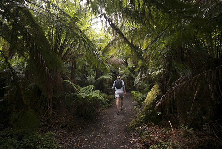 YHA Apollo Bay Eco