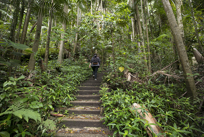 Riverside Backpackers (Murwillumbah)