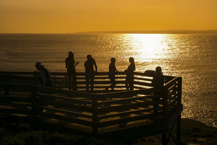 Phillip Island YHA_The Nobbies.jpg