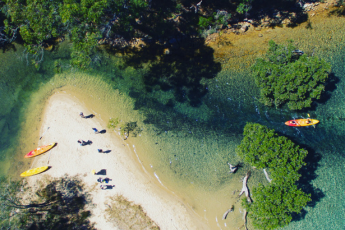 Local experiences to discover