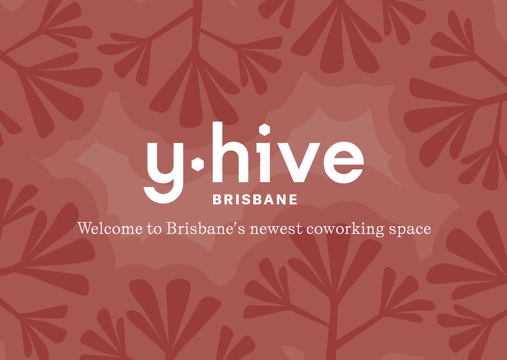 y-hive-banner-brisbane.png