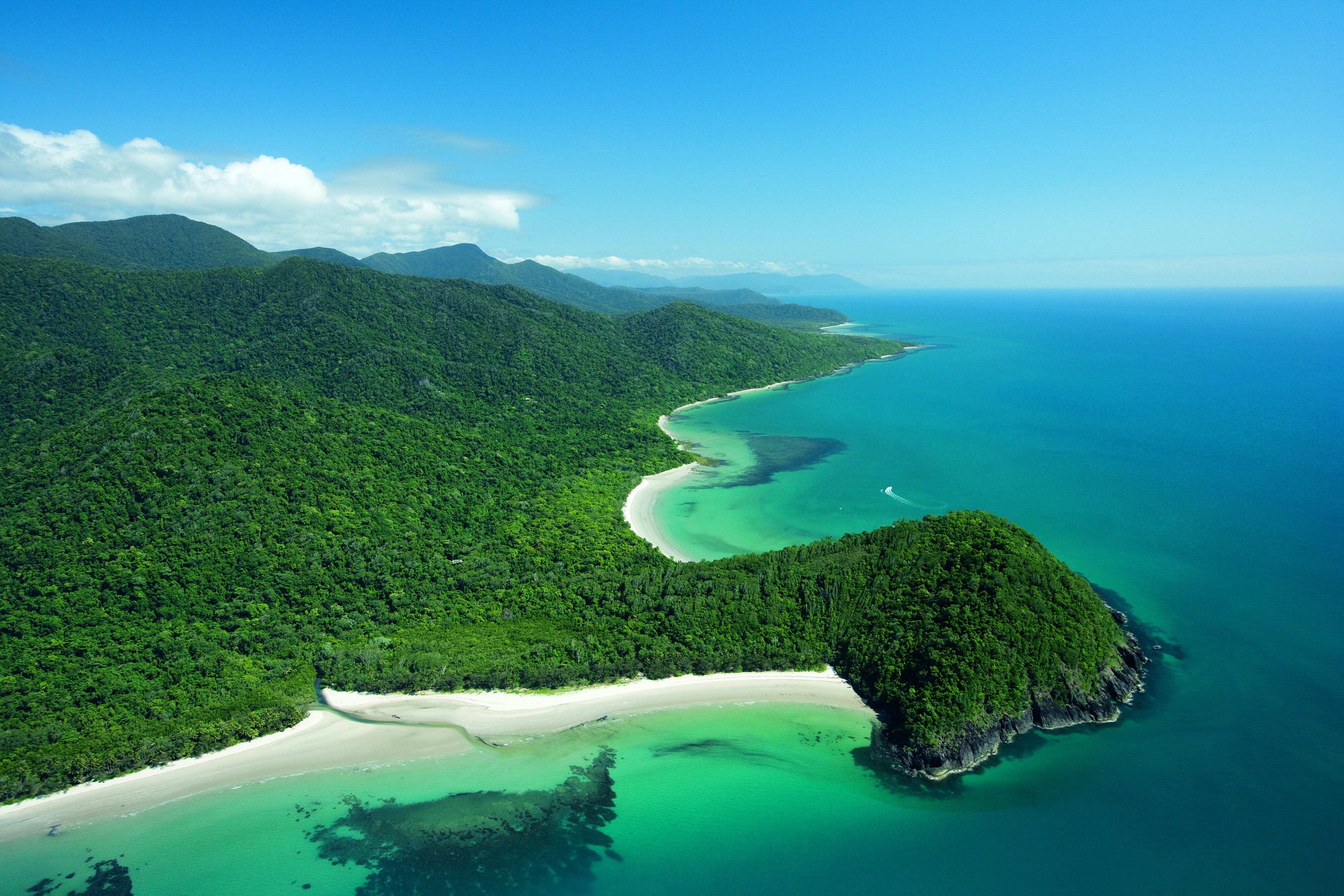 1 Day Daintree Rainforest Tour tile image